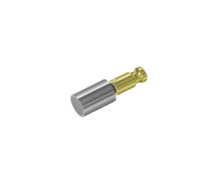 Ø 20X50 mm PİMLİ TİP HAVALI İTİCİ VALFİ