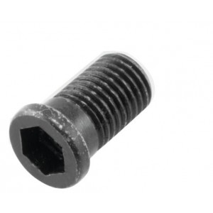 M5x0,5x3,5 BUKSE VİDA ERİC